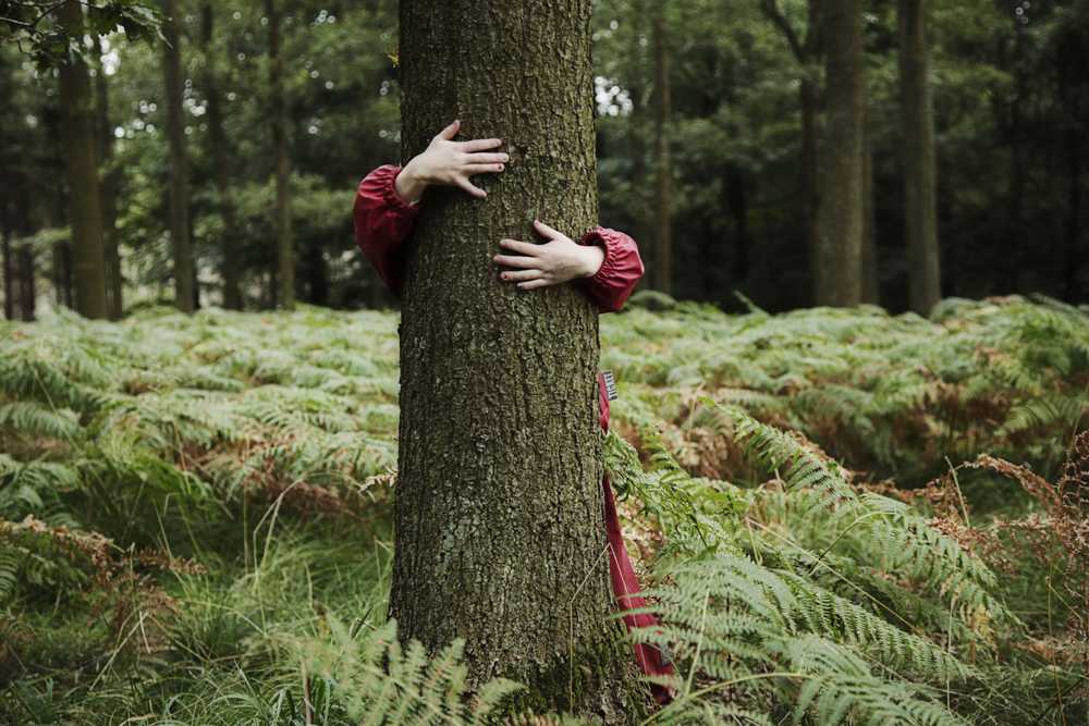 Ett barn som kramar ett träd